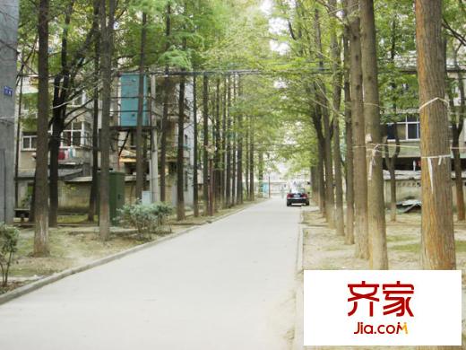 蘋果都市外景圖