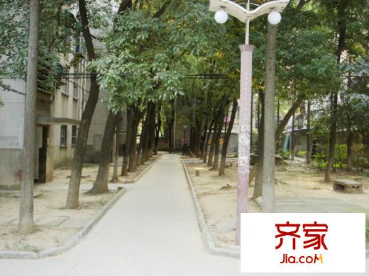 蘋果都市外景圖