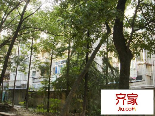 蘋果都市外景圖