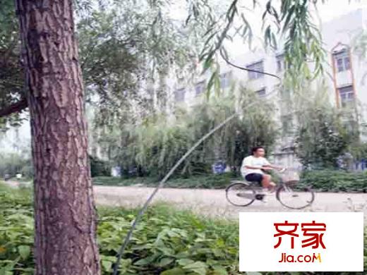 糧食局大院外景圖