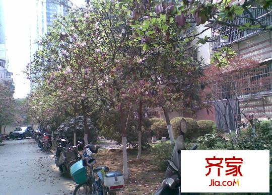 大方巷住宅外景圖