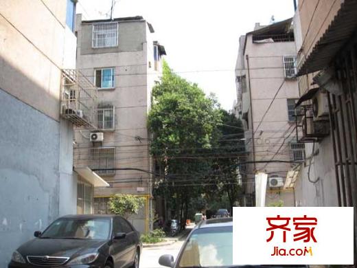 莫愁新寓荷花里