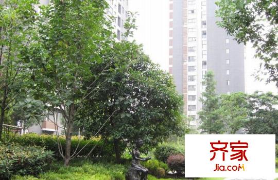 天啟花園外景圖
