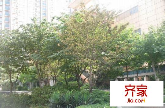 金陵御沁園外景圖
