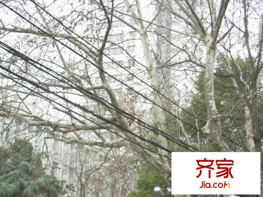 漢口路小區(qū)外景圖