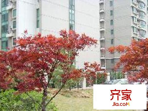 鴻仁名居外景圖