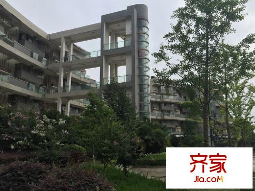 仙林 新街坊