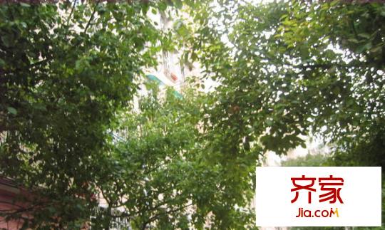 評事街小區(qū)外景圖