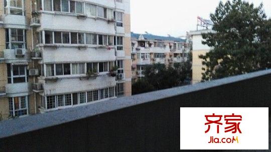芙蓉園外景圖