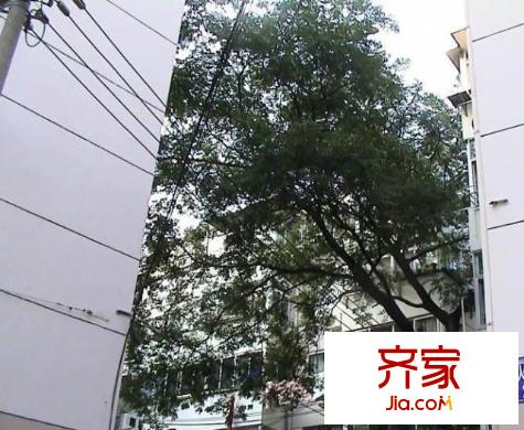 小火瓦巷小區(qū)外景圖