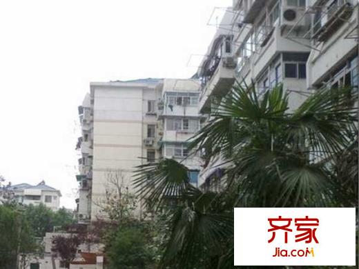 拓園外景圖