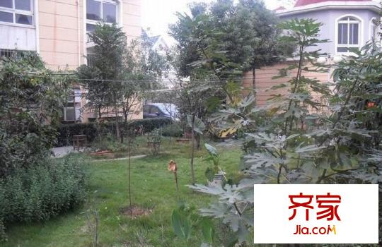 碧水灣西苑外景圖