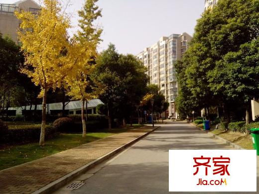 奧體新城丹楓園外景圖