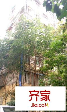 鐘阜路2號(hào)小區(qū)外景圖