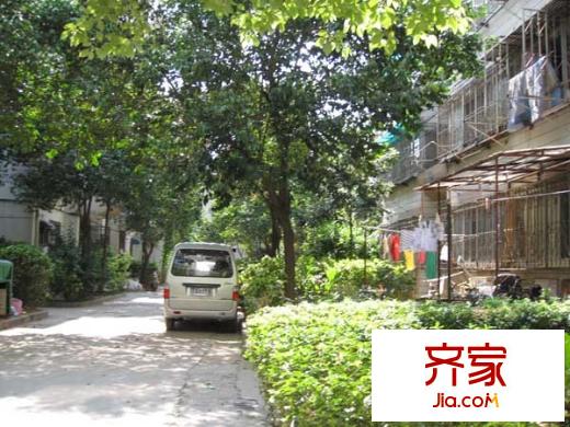 牡丹里外景圖