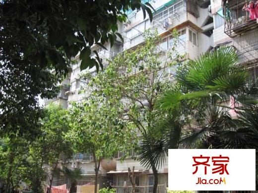 牡丹里外景圖
