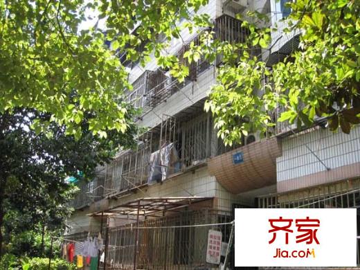牡丹里外景圖