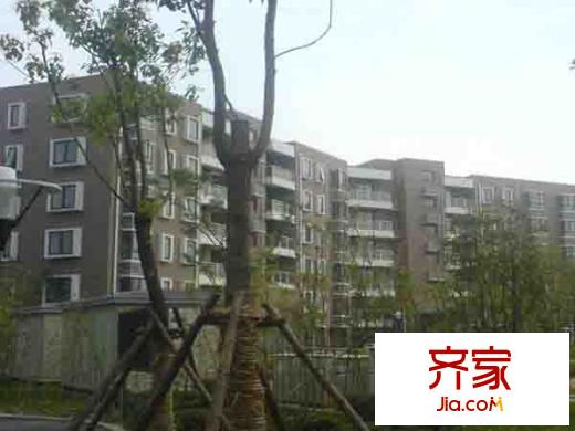 建設(shè)新村外景圖
