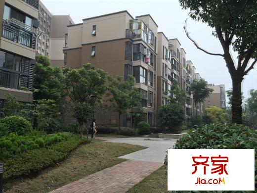 東郊小鎮(zhèn)第八街區(qū)外景圖