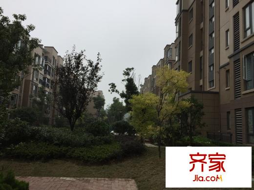 東郊小鎮(zhèn)第八街區(qū)外景圖