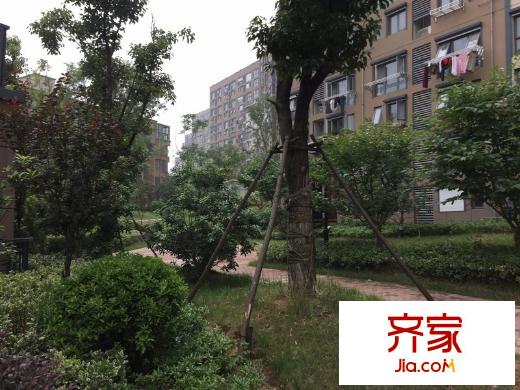 東郊小鎮(zhèn)第八街區(qū)