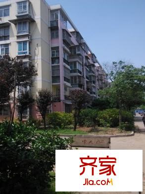 郁金香花苑外景圖
