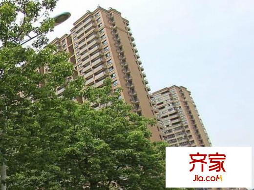 托樂嘉貴鄰居