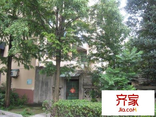 天津新村