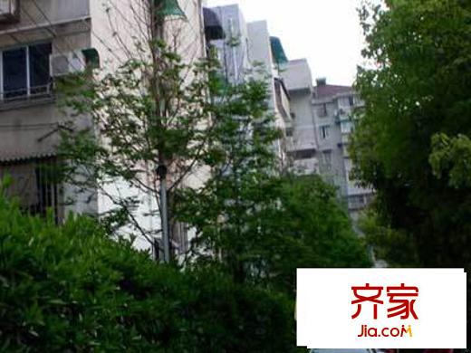 愛(ài)達(dá)花園蘭花園外景圖