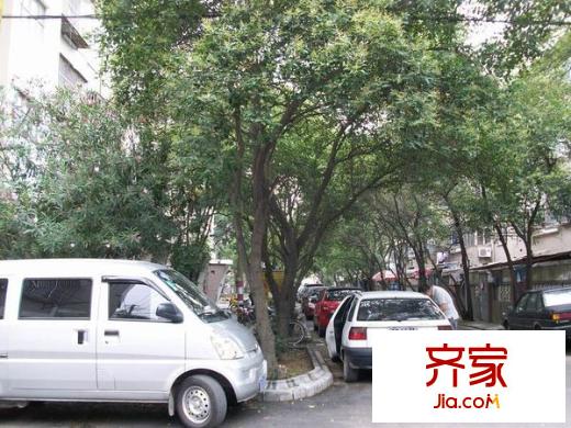 東井村3號