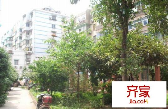 新牡丹里外景圖