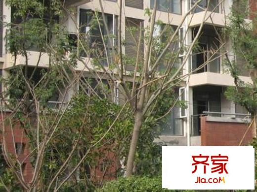 東郊小鎮(zhèn)第三街區(qū)外景圖