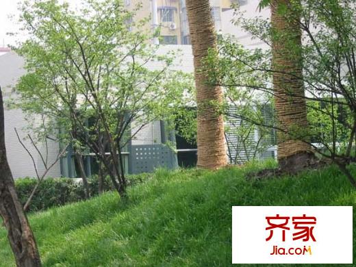 金基翠城
