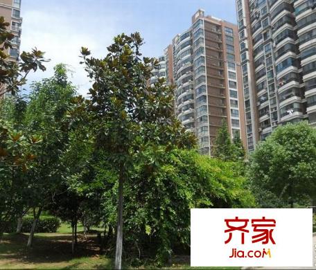 香緹麗舍外景圖