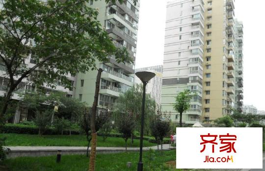 紫鑫中華廣場(chǎng)外景圖