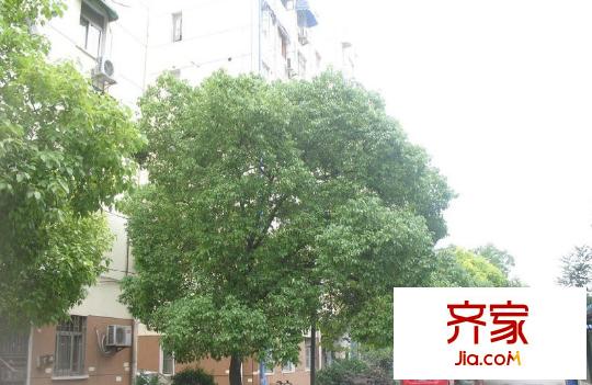 迎江園外景圖