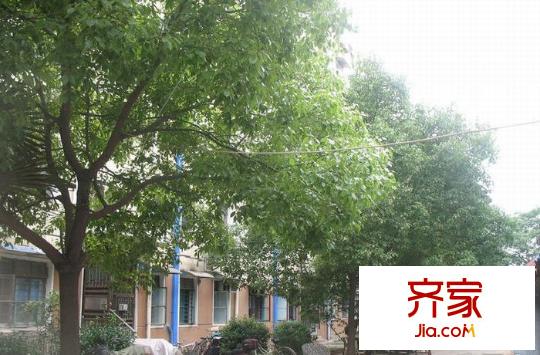 迎江園外景圖