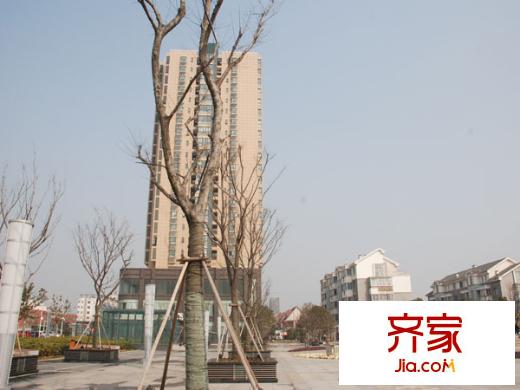 匯金旗林大廈外景圖