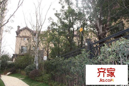 御江金城實(shí)景圖住宅與別墅區(qū)交界處實(shí)景（2012.03）