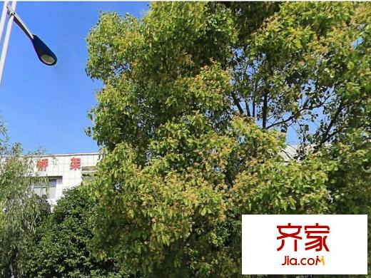 九島夢(mèng)都城外景圖
