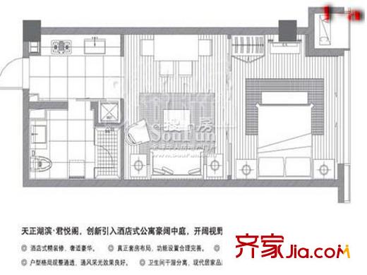 天正湖濱花園戶型圖戶型圖 1室 1室1廳1衛(wèi)