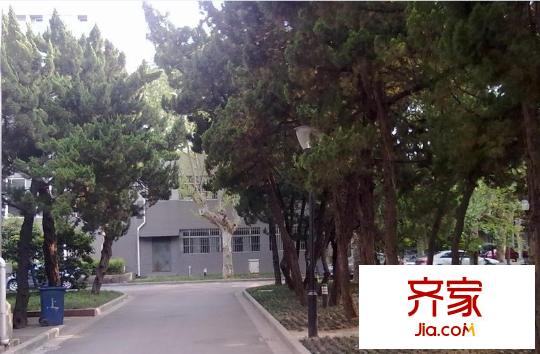 石頭城小區(qū)外景圖