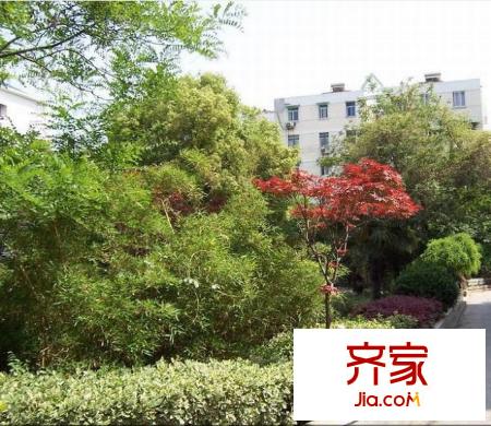 虹苑新寓外景圖