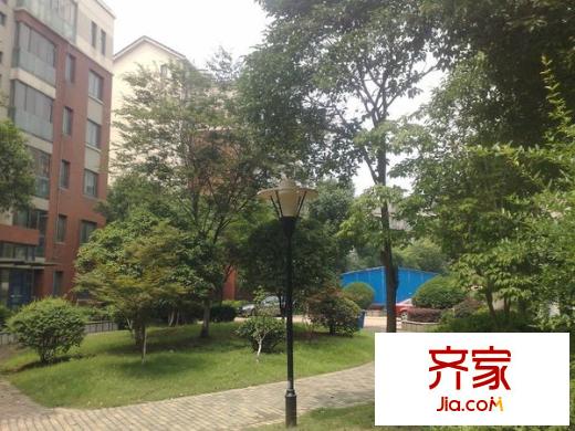 東郊小鎮(zhèn)第四街區(qū)外景圖