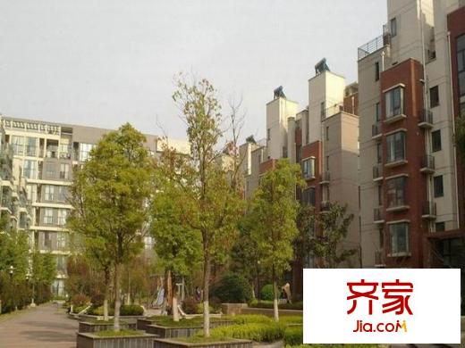 東郊小鎮(zhèn)第四街區(qū)外景圖 