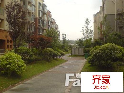 東郊小鎮(zhèn)第四街區(qū)外景圖