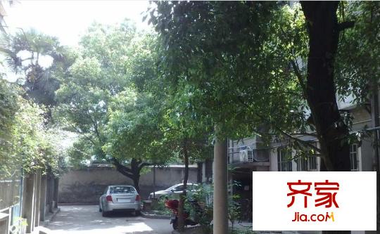 安樂村外景圖
