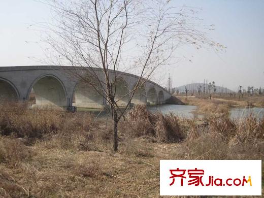 保利羅蘭香谷配套圖項(xiàng)目南面的仙林湖公園
