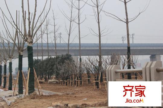 武夷水岸家園外景圖小區(qū)后面綠化外景（2013.1.7）