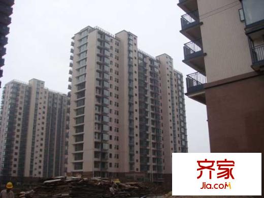 龍鳳玫瑰園外景圖